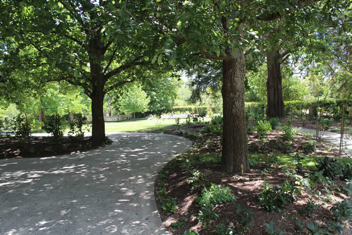 Sbj landscapes 16